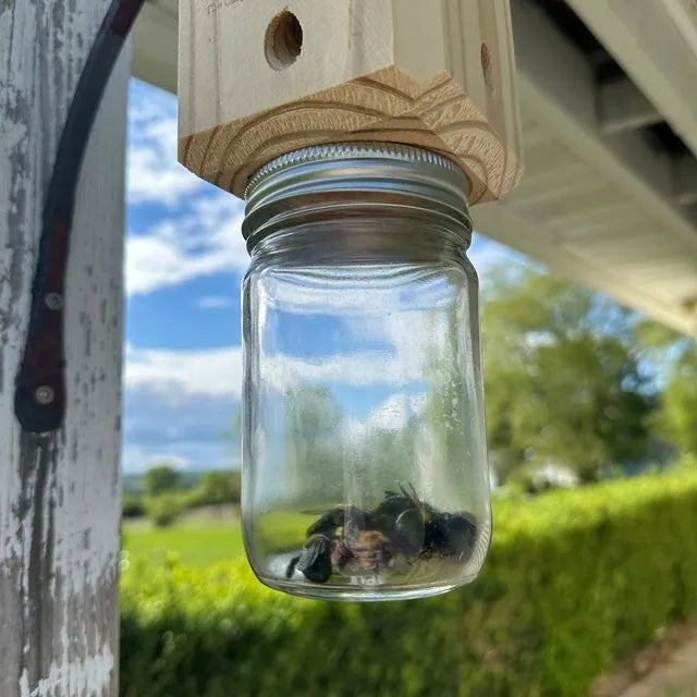Effective Carpenter Bee Trap for Outdoors – Chemical-Free Wooden Bee Catcher Protecting Decks, Fences & Eaves