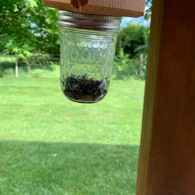Effective Carpenter Bee Trap for Outdoors – Chemical-Free Wooden Bee Catcher Protecting Decks, Fences & Eaves