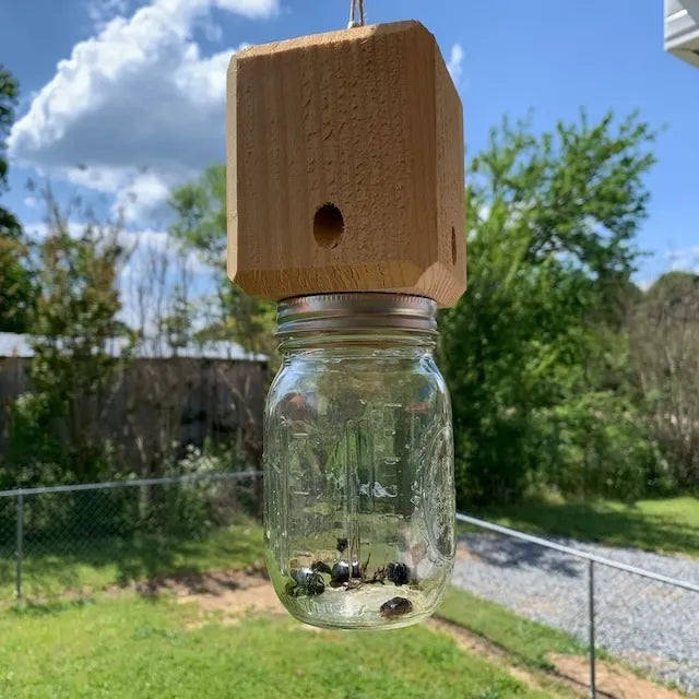 Effective Carpenter Bee Trap for Outdoors – Chemical-Free Wooden Bee Catcher Protecting Decks, Fences & Eaves