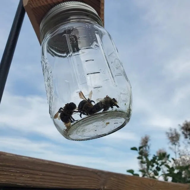 Effective Carpenter Bee Trap for Outdoors – Chemical-Free Wooden Bee Catcher Protecting Decks, Fences & Eaves